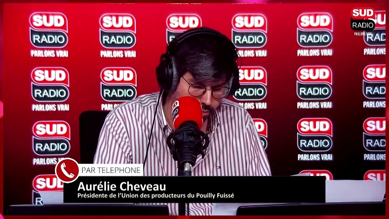 Colère des viticulteurs du Mâconnais, contraints d'utiliser des pesticides pour traiter leurs vignes