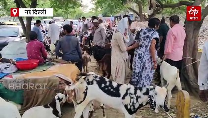 बकरीद से पहले तुगलकाबाद की बकरा मंडी में रौनक, 10 हजार से लाखों तक के बकरे उपलब्ध