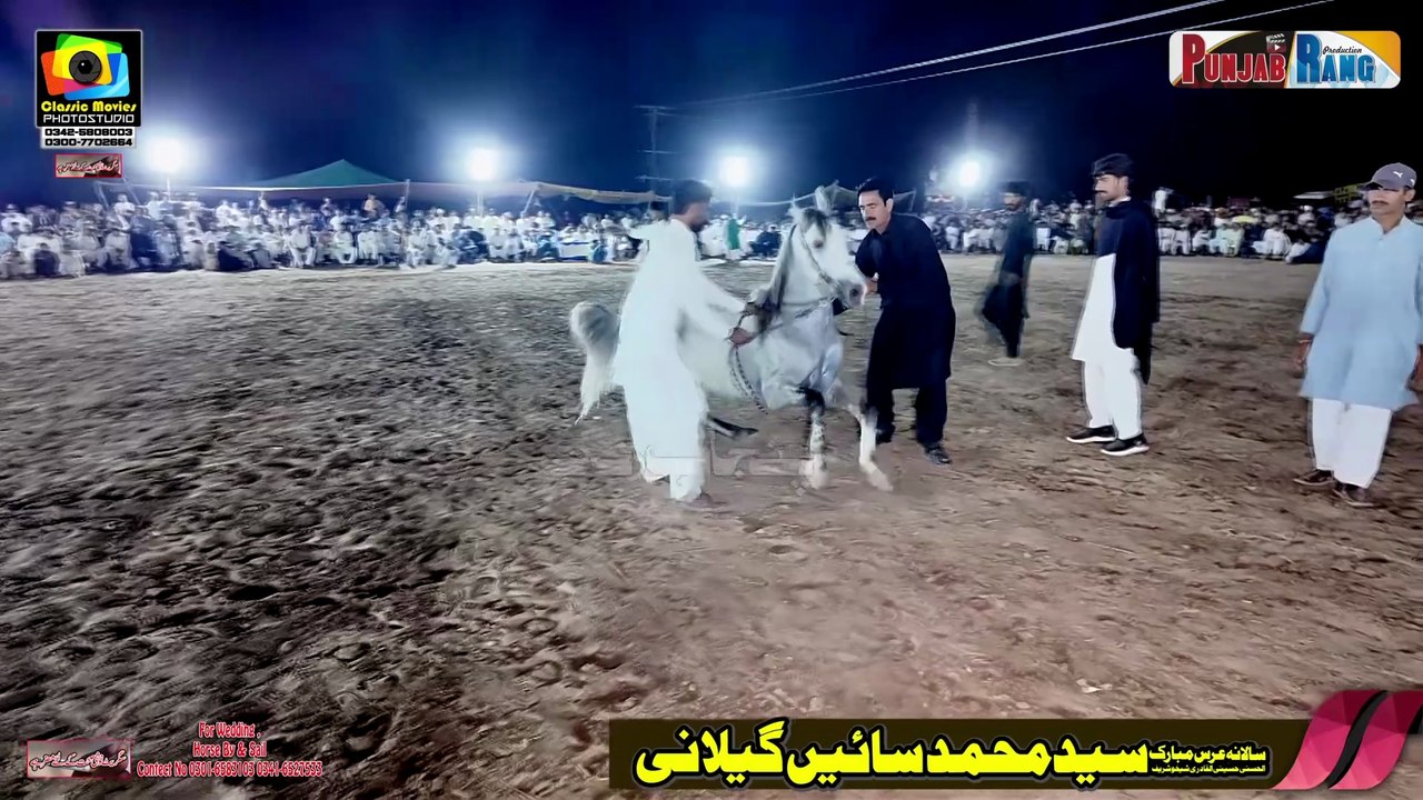 Horse Dance l Dur e Najaf Almarof Dengian Tangan Wala l Out Standing Performance Siekhu Sharif Okara l Ch Safeer Ahmad Dadyal azad Kashmir