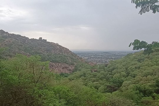 बारिश से मौसम हुआ खुशनुमा, अरावली की पहाडियों पर छाई हरियाली