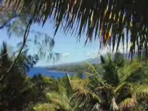 mon île la Réunion rythmée au son du ségas
