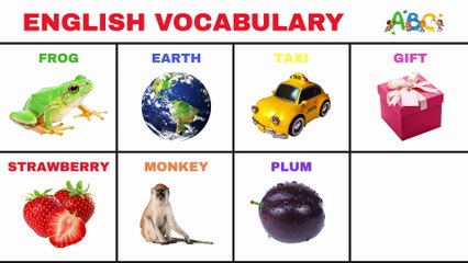 Baby's First Words Flash Cards | Learn Basic English Vocabulary for Toddlers