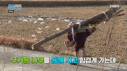 심하게 굽은 허리, 무거운 통나무를 지고 가는 할머니