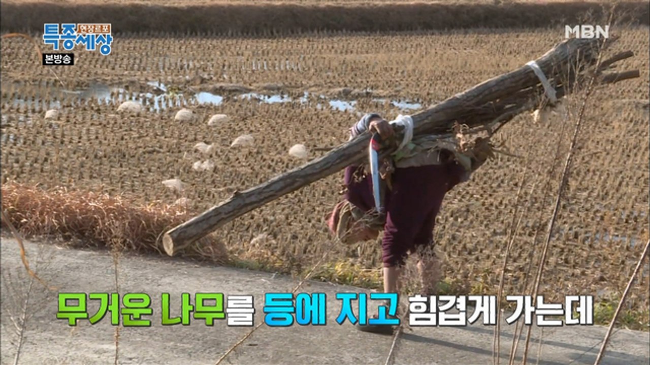 심하게 굽은 허리, 무거운 통나무를 지고 가는 할머니