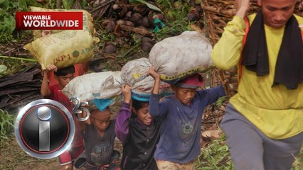 12 taong gulang, araw-araw nagbubuhat ng kopra para makabili ng bagong sapatos | I-Witness