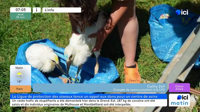 05/06/2025 - ici matin par ici Alsace en vidéo