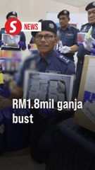 RM1.8mil in ganja buds seized in Penang