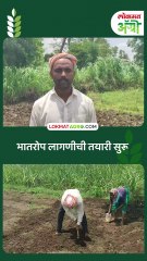 भात तरवा टाकण्याची लगबग-