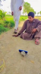 Funny video, tention relief, comedy, be happy.