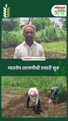 भात तरवा टाकण्याची लगबग-_1