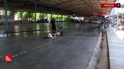 Sokakta kurban kesip, atıklarını gömene 23 bin 532 lira ceza