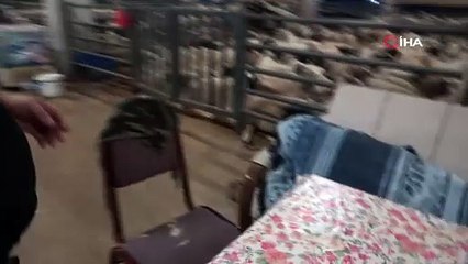 Bursa’da koyunlarla ’koyun koyuna’ nöbet