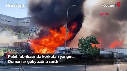 Palet fabrikasında korkutan yangın... Dumanlar gökyüzünü sardı