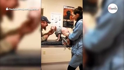 Watch: Abused puppy goes absolutely nuts when he understands who his new owner is