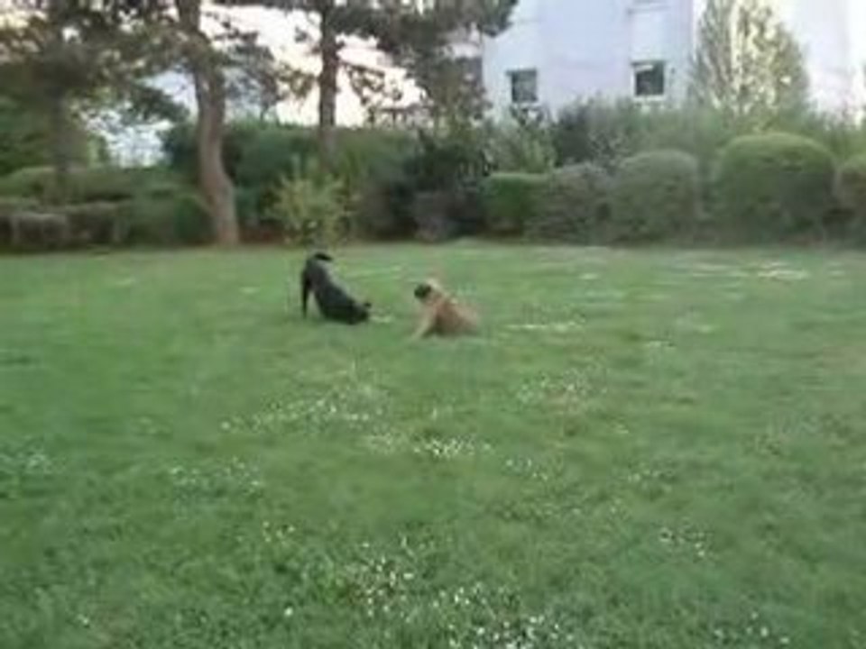 MOV00189