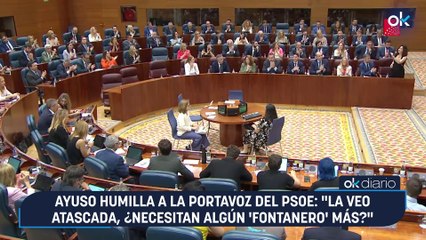 Ayuso humilla a la portavoz del PSOE: "La veo atascada, ¿necesitan algún 'fontanero' más?"