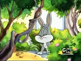 Baby Looney Tunes S1 E2 Comfort Level / Like a Duck to Water