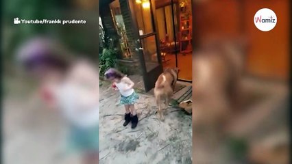 Grandad approaches girl menacingly: Dog's reaction is extraordinary