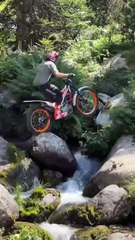 🤣🤣🤣Funny Videos - Funniest Kittens - Cats And