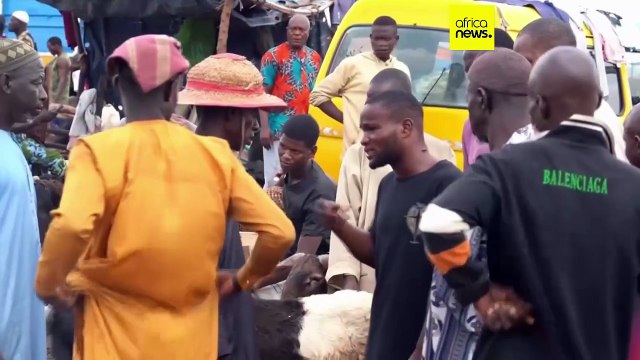 Nigerians struggle to afford rams for Eid celebrations as inflation soars