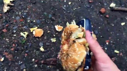 Nokia 3310 In a BigMac - Drop Test 100ft