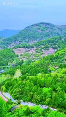 I strongly believe that nature brings solace in all troubles