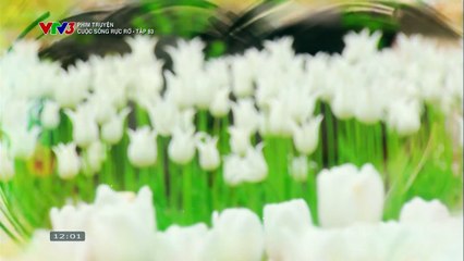 CUỘC SỐNG RỰC RỠ - TẬP 83 - VTV3 THUYẾT MINH - PHIM HÀN QUỐC - CUOC SONG RUC RO