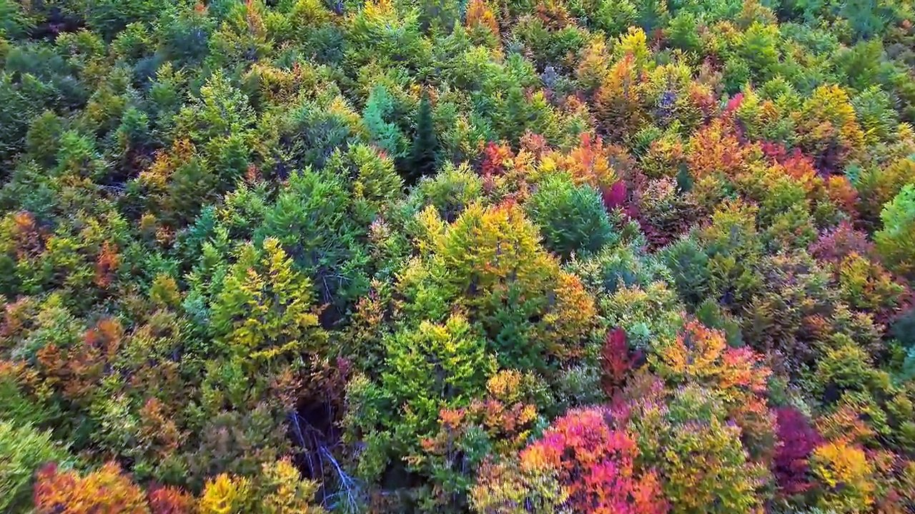 Amazing Dolby Vision 4K 120FPS HDR - 4K Video ULTRA HD #4k #hdr