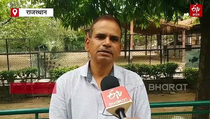 जंगलों में मानवीय दखल बंद होने से बढ़ी हरियाली, झालाना-आमागढ़ ने पेश की मिसाल