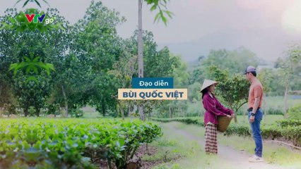 DỊU DÀNG MÀU NẮNG - TẬP 1 - PHIM VIỆT NAM VTV1 - DIU DANG MUA NANG