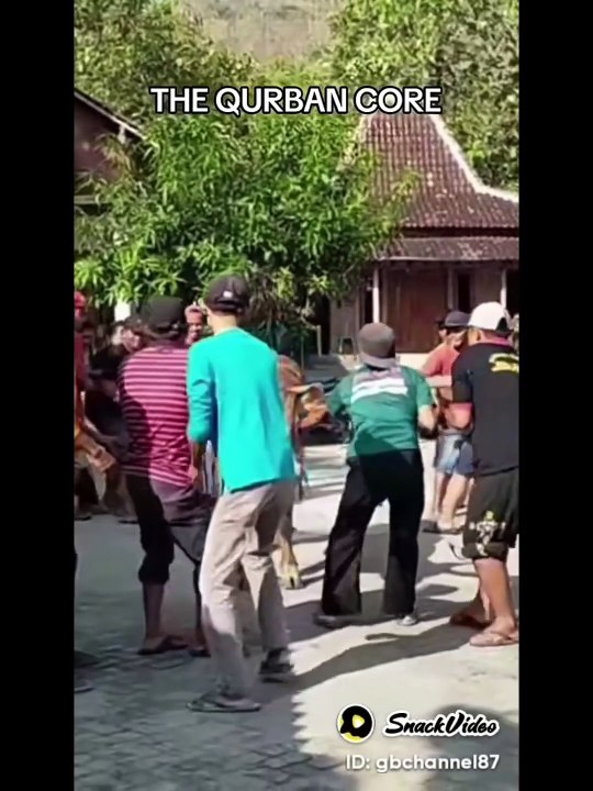 The Indonesian Unique Al-Hajj Qorban Traditional Events To Give A Meatloaf Like Bull Cow/ Goat Sheep To The Local People's Community From Around A Cross Islands Country of Sabang Isle Aceh Region Until Merauke Papua Province