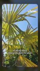 Christophe Beaugrand victime d'un home-jacking