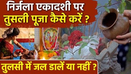 Nirjala Ekadashi 2025 Tulsi Puja: निर्जला एकादशी के दिन तुलसी पूजा कैसे करें, बनेंगे सभी बिगड़े काम
