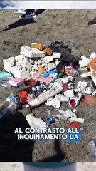 WWF Caserta -  Sai cosa rende davvero speciale Adopt a Beach? (05.06.25)
