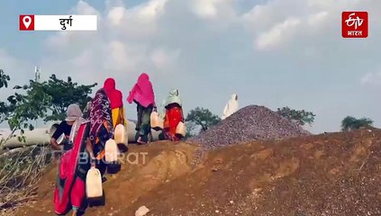 महिलाएं बनी पर्यावरण प्रहरी, अंजोरा ढाबा गांव में हरियाली की नई मिसाल