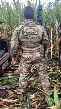 Forças de Segurança apreendem carro com 700 kg de maconha em Guaíra