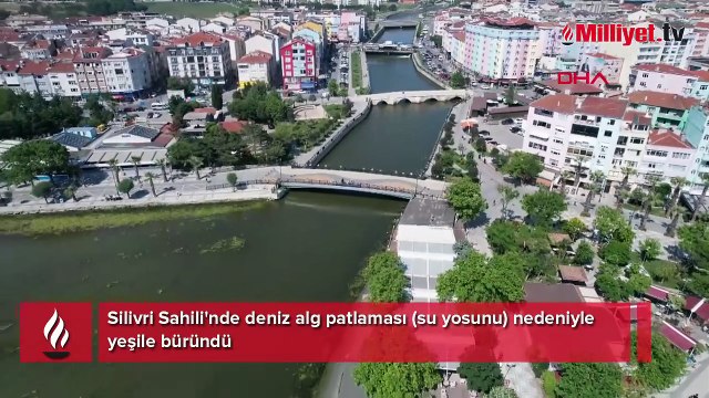Silivri'de şaşkına çeviren görüntü: Bu güzelliğe hiç yakışmıyor