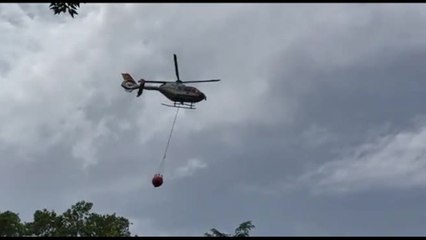 Nuovo rogo a Roma nella riserva di Monte Mario, sotto controllo