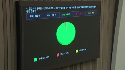 '내란·김건희·순직 해병 특검법' 국회 본회의 통과 / YTN