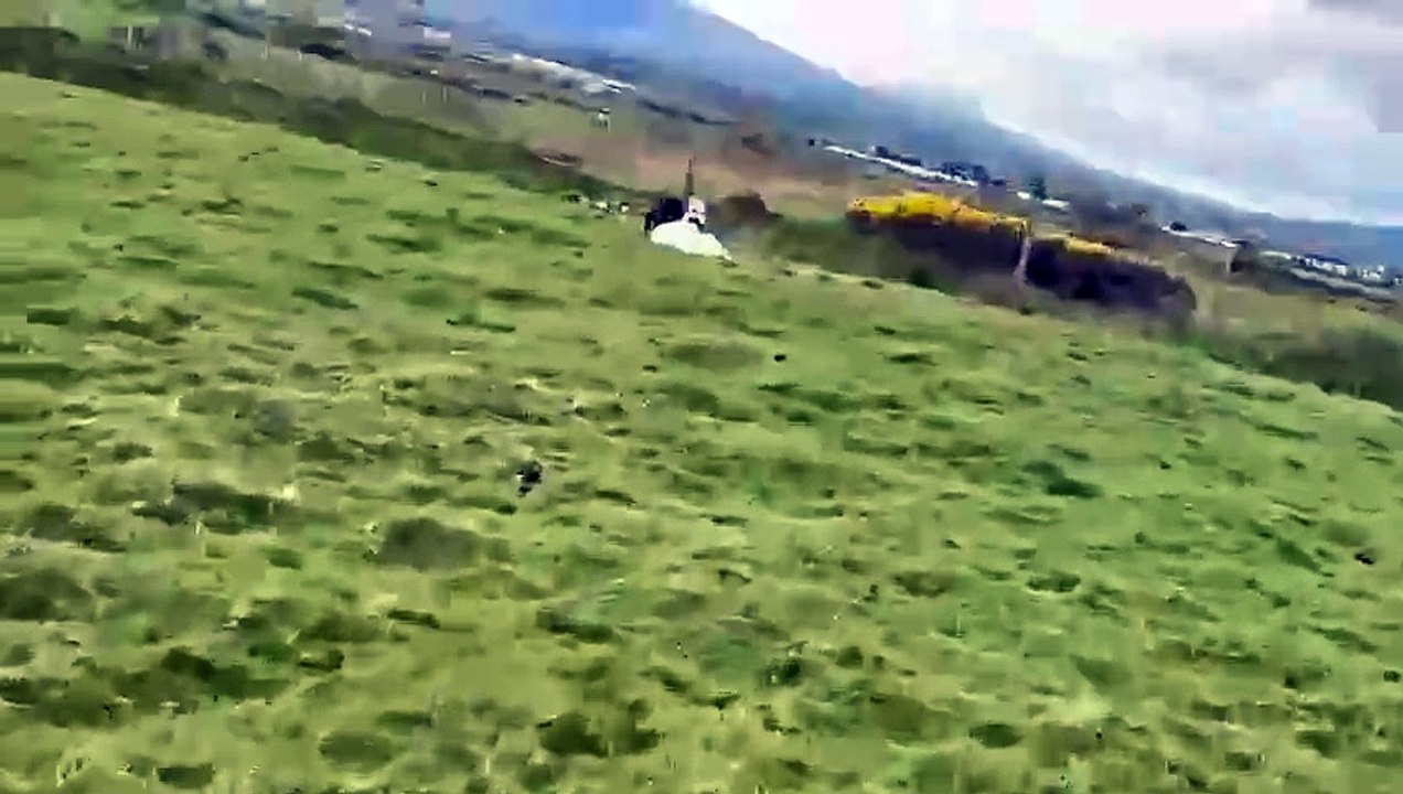 Distressing footage of Gwynedd lamb attack by dogs