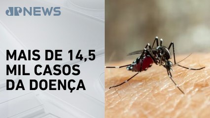 Porto Alegre registra 16 mortes por dengue em 2025