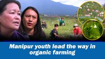 Manipur youth lead the way in organic farming