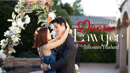 Becoming the Divorce Lawyer of My Billionaire Husband