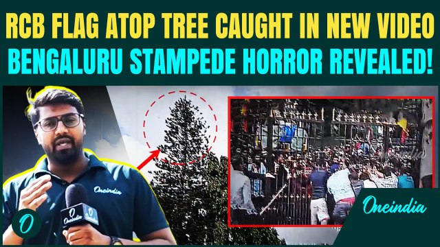 RCB Stampede Horror EXCLUSIVE: UNSEEN Videos Show the Tree Climbed by 50 as Crowd Crush Kills 11