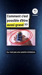 Comment c'est possible d'être aussi grand ?