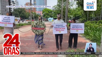Sitwasyon ng mga hayop sa Manila Zoo, iprinotesta ng grupong PETA | 24 Oras