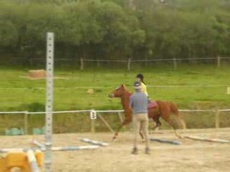 Jappy & Moi barres par terre