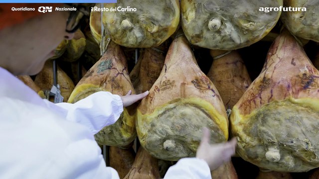 Terra - Viaggio nei sapori dell'Emilia Romagna