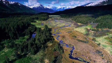 Alaska Üçgeni 1. Sezon 7. Bölüm