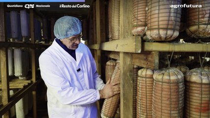 Terra - Viaggio nei sapori dell'Emilia Romagna
